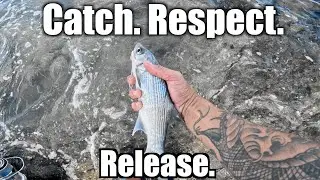 Real Hawaiian Fishing Action &mdash; Testing Campania&rsquo;s Abductors Lures