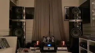 MSB VS Vinyl - Винил (All cables Echole Infinity) - Lamm ML3