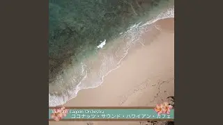 Tea Time at the Beach