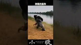 肛腸科主任作死時刻！ #搞笑 #萬萬沒想到 #動物成精 #不可思議 #騷操作
