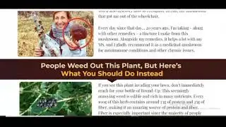 Forager's Guide to Wild Foods &ndash; brand new (❌⚠️ DON'T BE FOOLED!! ⚠️❌) Forager's Guide to Wild Foods
