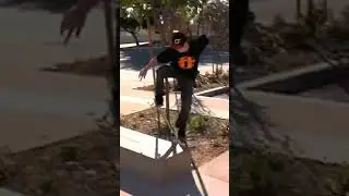 Switch Frontside Bluntslide‼️