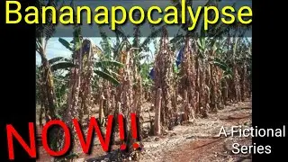 Bananapocalypse NOW!! Ep1