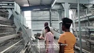 Nigeria Direct Factory Battery Cage System, Poultry Farm Business