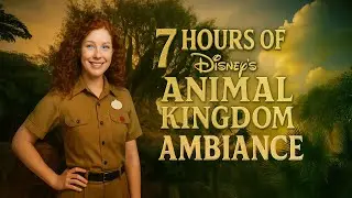 Disney&rsquo;s Animal Kingdom Ambiance | Relaxing Park Sounds Walt Disney World