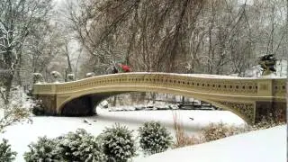 Bing   2013 12 30   Bow Bridge Central Park, New York City