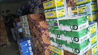 Preços atualizados do Alho Roxo em São Paulo| Onde comprar alho? Quanto custa uma caixa de alho?