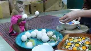 Amazing!! Baby Monkey Mori Help Mom Make Pickled Eggs Yolk In Fish Sauce Recipe