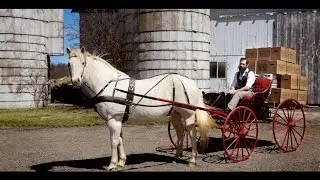Blake's Hard Cider 2015 State Of Cider Address