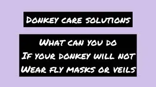 When your Donkey won&rsquo;t wear a fly mask; Donkey Fly Protection solution #donkey #burro #equine #horse