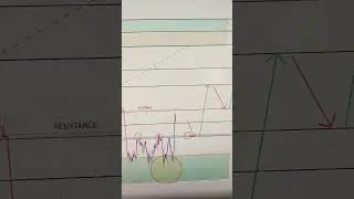 NZDCAD 08 TO 12 SEP 2025 American Weekly Technical Fundamental Forex Forecast Free t.me Signals