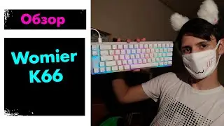 Посоны, это типо ЛГБТ? Обзор Womier K66 (feat. CotoFanat)