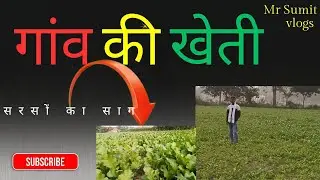 Gaon ki kheti Sarson ka sag 🌾 #vlogs #farming #logvideo#gov