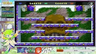 Snow Bros. Nick & Tom Special - Any% - Normal in 29:24 (IGT-Outdated)