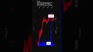 #RCKT, Rocket Pharmaceuticals, Inc., 2024-06-24, stock prices dynamics #stockmarket