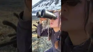 Ночной дозор. #белыеночи  #mountains #nature #naturelovers #reindeer #shorts #virlvideo