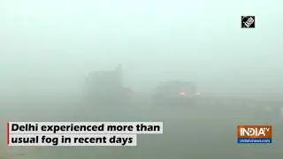 February fog sends chill in national capital