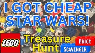 Lego Minifigure Treasure Hunt: I Got Cheap Star Wars!