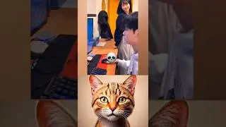 give the title? (answer warning) #cat #meme #dance