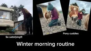 Winter morning routine with the horses! -Vlogmas day 2!!- The Horse Illustrator