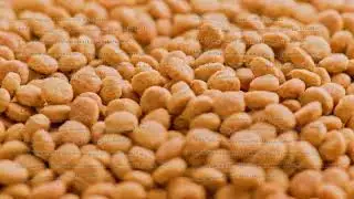 full frame loop rotating background of small dry orange cat food crockets