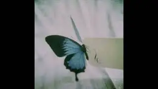 *FREE* sad grunge x shoegaze x alternative rock type instrumental - 