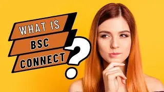 BSC Connect, The Ultimate Social Media Network for Cleaning Companies