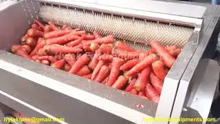 Carrot Washing Machine | Vegetable Washing Machine/Vegetable Washer/Vegetable Brush Washer