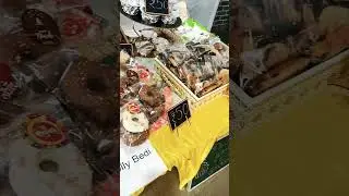 Bakery Exhibition In Little Millenium School&hearts;️