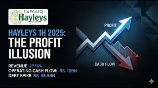 True P&L: The Scary Truth Inside Hayleys&rsquo; Balance Sheet 📉 | H1 2025/2026