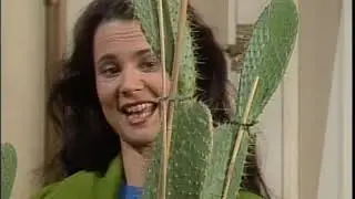 Die liebe Familie - Folge 326 - Vorweihnachtszauber (21.12.1991)