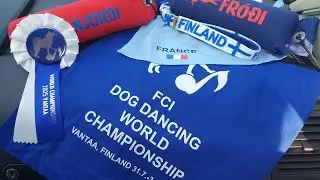 World Championships dogdance 2025 Helsinki 