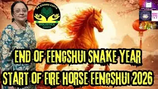 End of Fengshui snake year Start of Fire horse Fengshui 2026 Zodiac Animal #horseyear2026 fengshui