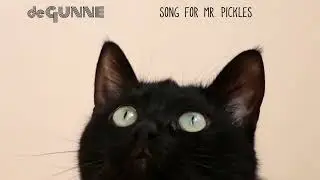 De Gunne - Song for Mr  Pickles (Official videoclip)