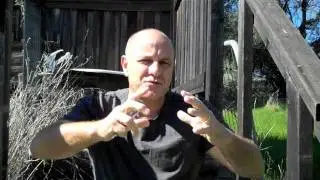 Martial Arts Business Meeting, Part 2. The On-Line Campus