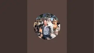 Trạm Cứu Hộ Ch&oacute; M&egrave;o Hhđ SG đang ph&aacute;t trực tiếp!