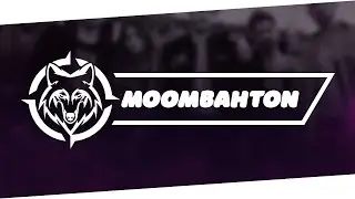 Dimitri Vegas & Like Mike Ft. Various Artists - Boomshakalaka (LDMX Remix)