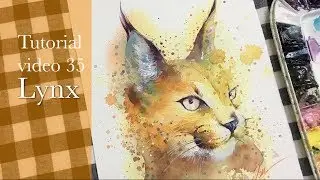 Tutorial video 35 - Lynx