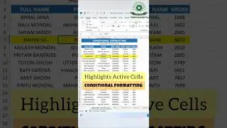 CONDITIONAL FORMATTING | Highlights Active Cells | Visual Basic Application 📊💻🔍 #shorts #vba #excel