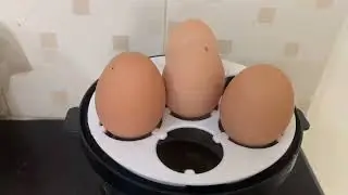 Neo Electric Handy Steam Cooker