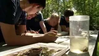 Competition Teaches Students About Maine's Environment