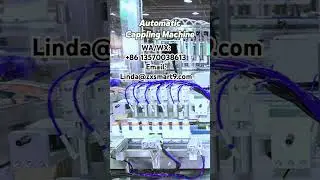 Automatic Capping Machine#bottlecapper #cappingmachine #bottlecappingmachine #capping