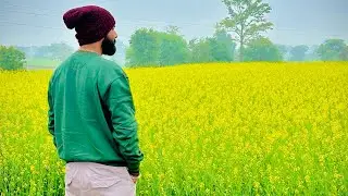 मेरा गाँव🎉#villagelife#shortsfeedshortsfeed#youtube#shorts 