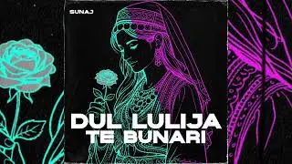 Sunaj - Dul Lulija Te Bunari (EDM Remix)