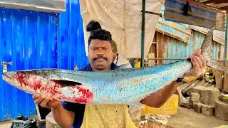 KASIMADU SPEEDSELVAM BIG KING FISH CUTTING VIDEO #kasimeduselvam #fishcooking 