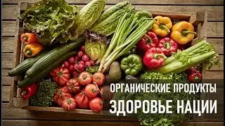 Обзор Проекта Органика от Куотли