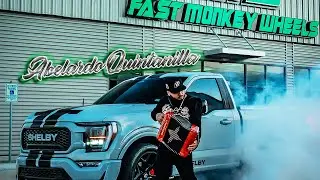 Abelardo Quintanilla-Fast Monkey (Official Music Video 4K)