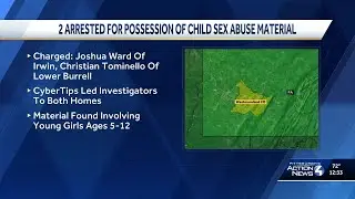29-year-old from Lower Burrell accused of possessing over 2.5K child sex abuse files