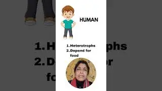 Why Humans Can&rsquo;t Make Food Like Plants? 🌱 vs 👤 | Class 10 Bio #class10science #cbse2025 #class10th