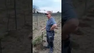 Schorli 4.0